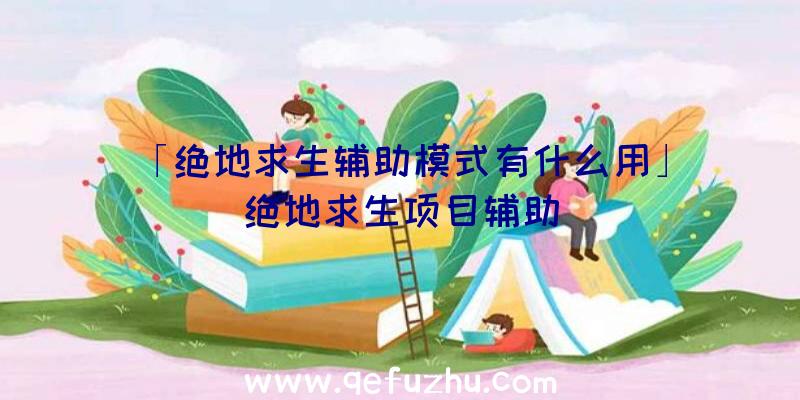 「绝地求生辅助模式有什么用」|绝地求生项目辅助